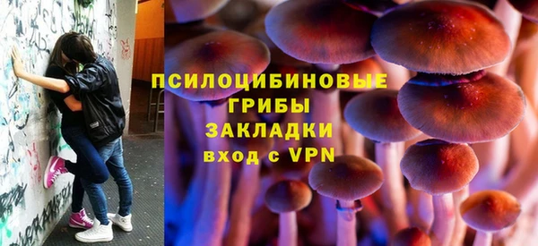 дурь Волоколамск