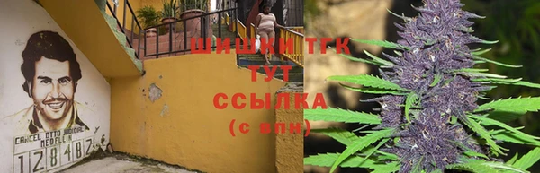 дурь Волоколамск