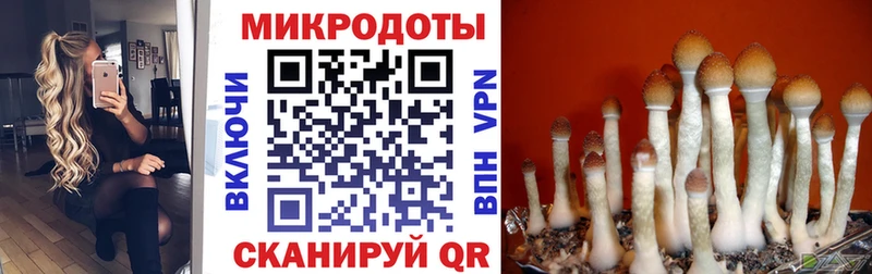 Псилоцибиновые грибы MAGIC MUSHROOMS  Купить закладки  Кукмор 